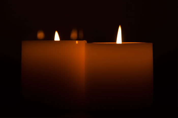Pet Cremation